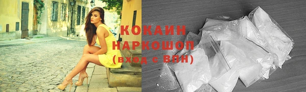 индика Абинск