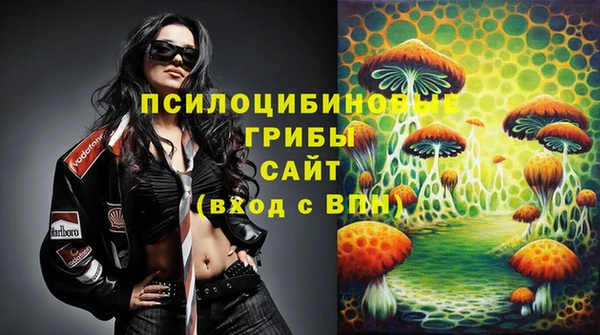 ешки Абаза
