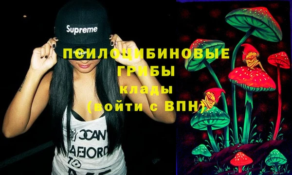 герыч Новозыбков