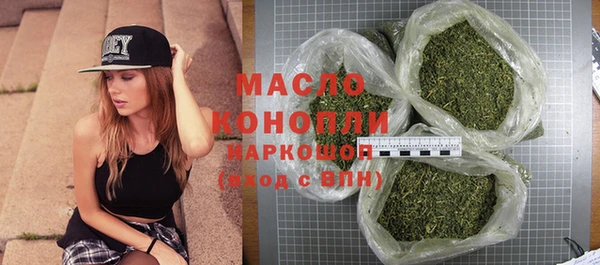 индика Абинск