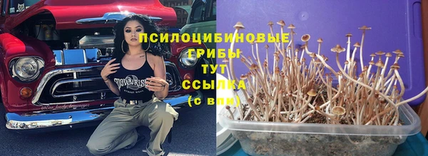 mix Новодвинск