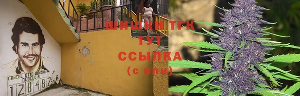 герыч Новозыбков