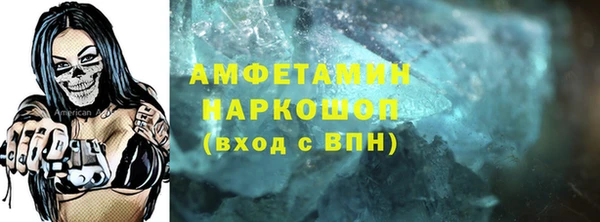 индика Абинск