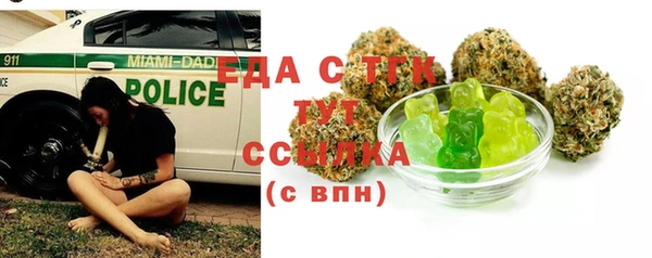 индика Абинск